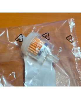 Filtre à essence pour moteur autoportée