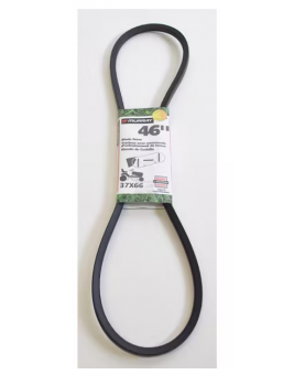 Courroie murray référence 37X66