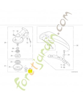 Ecrou blocage 10mm réf. Honda 80031VJ5003
