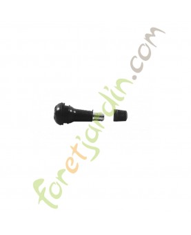 Valve tubeless longue