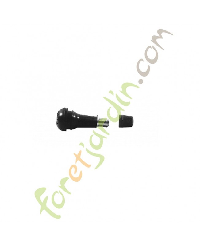 Valve tubeless longue