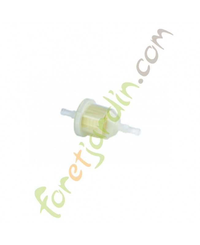 Filtre à essence pour moteur autoportée