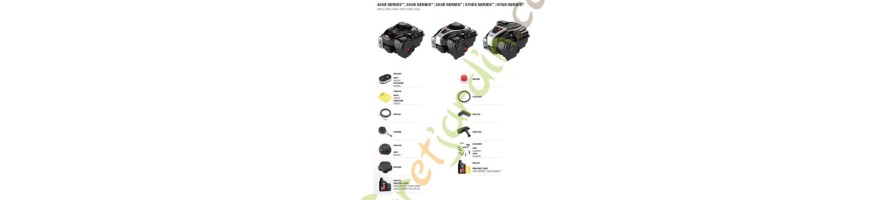 Pièces d'usure courante Briggs et Stratton.