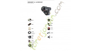 VANGUARD™ 4,10 – 4,9 GROSS kW*