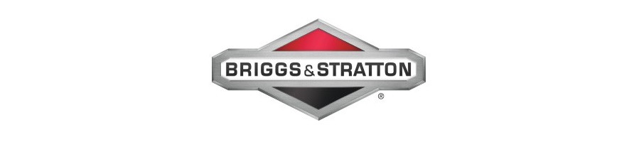 Moteurs thermiques Briggs et Stratton : pièces détachées et de rechange d'origine