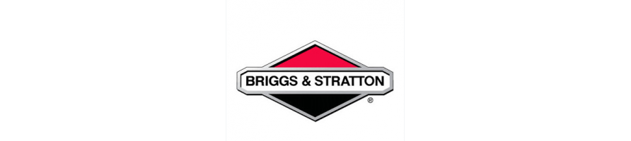 Lubrifiants BRIGGS STRATTON