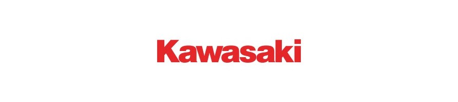 Moteurs thermiques Kawasaki : pièces détachées et de rechange d'origine